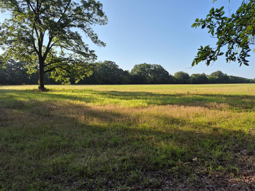 1485 Cr 44550 Property Photo 6