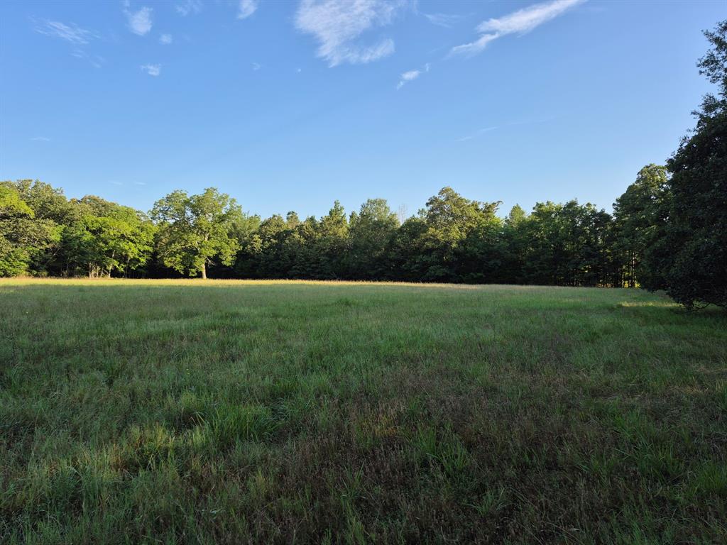 1485 Cr 44550 Property Photo 8