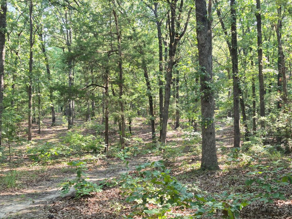 1485 Cr 44550 Property Photo 11