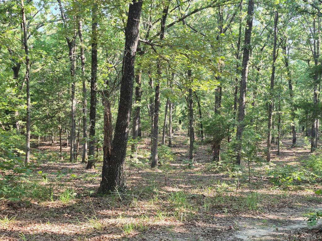1485 Cr 44550 Property Photo 12