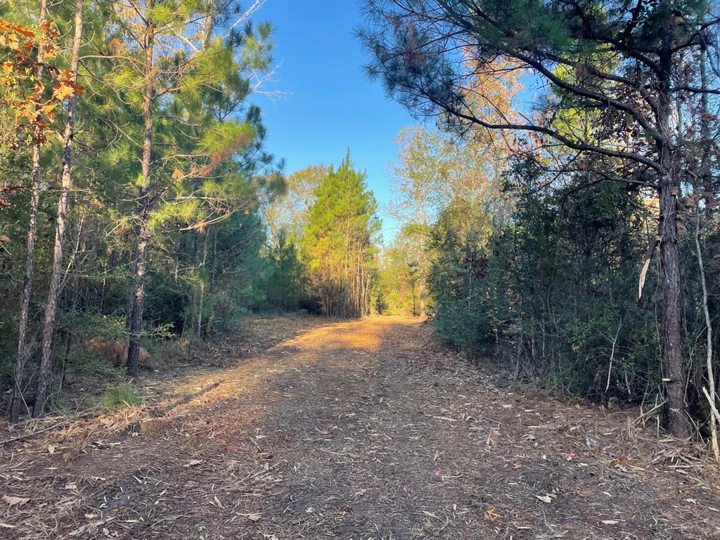 Lot 6 E Fm 942 Property Photo 34