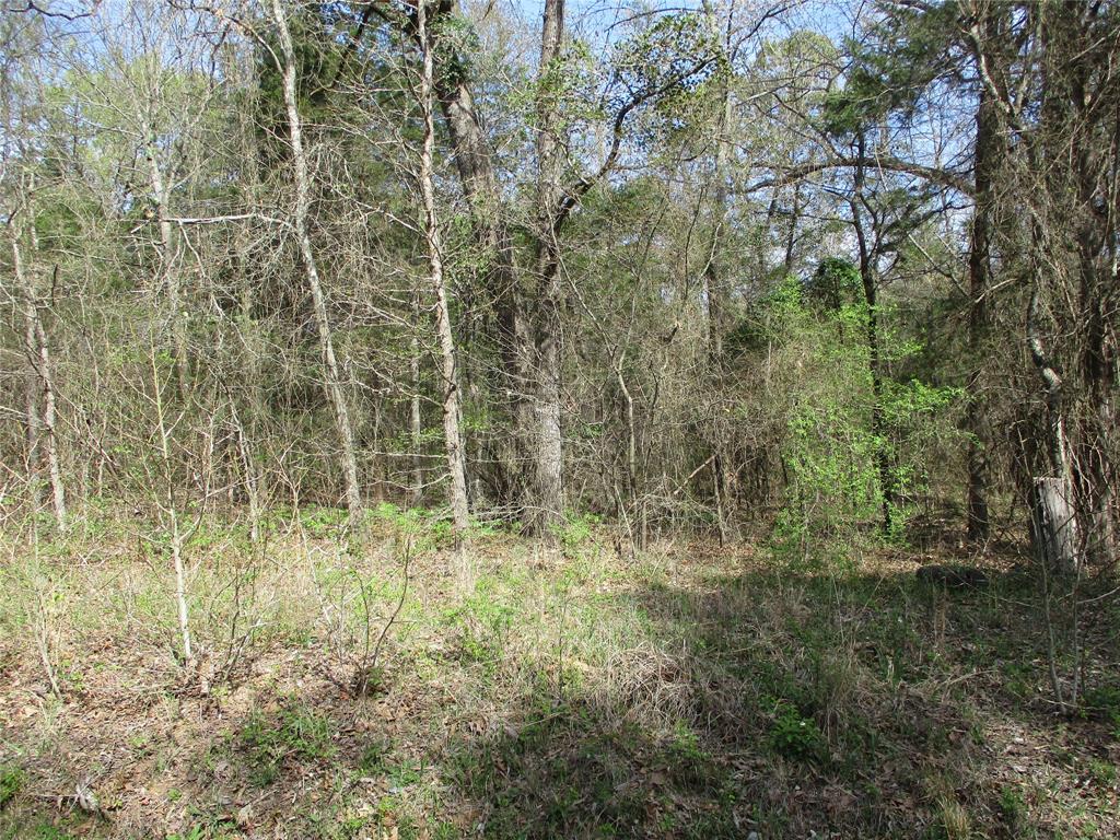 TBD County Road 2958