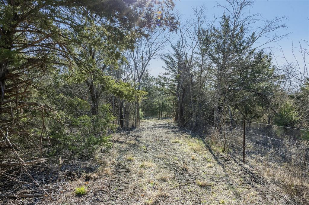 Tract 4 County Road 386 Property Photo 14