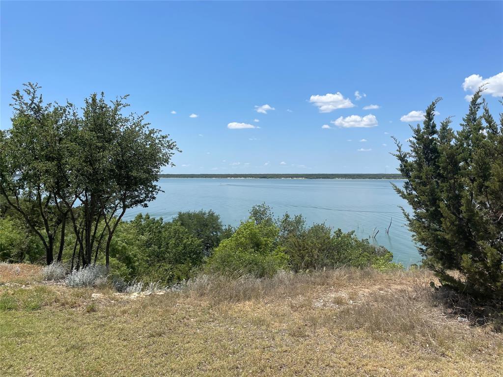 19116 White Bluff Drive Property Photo 5