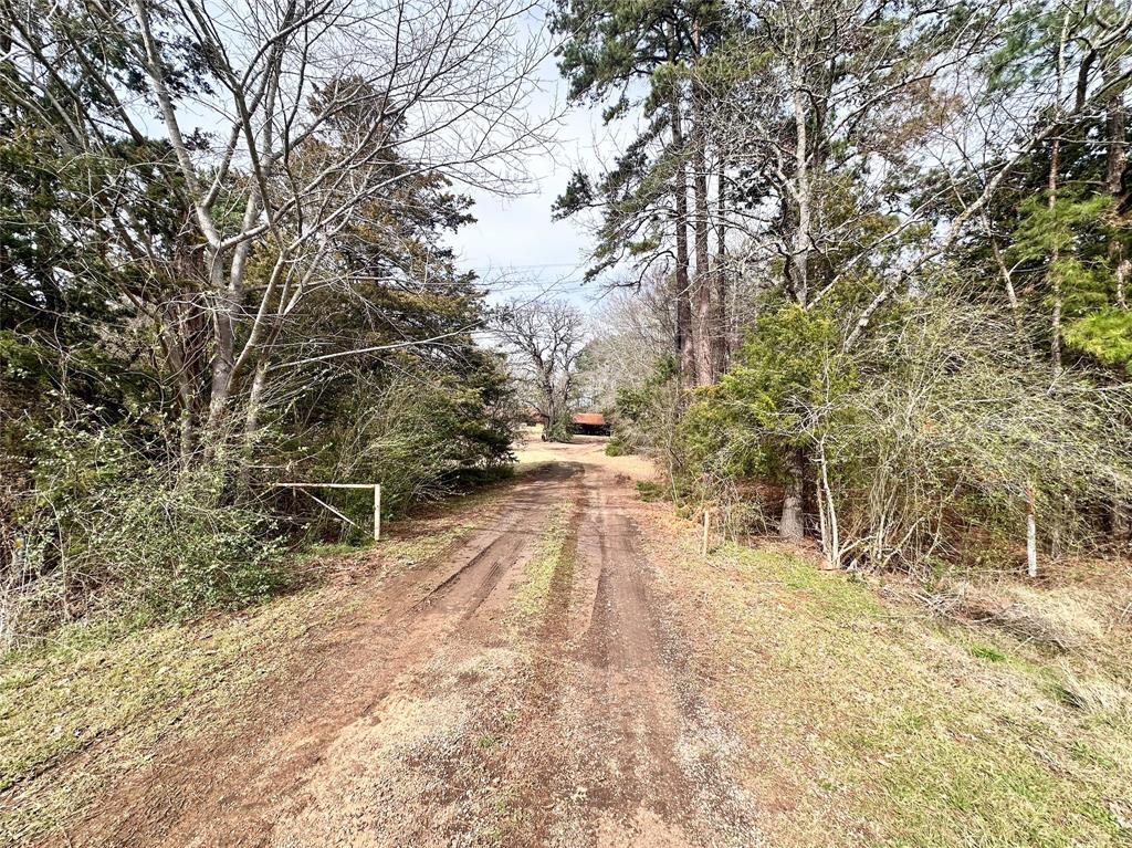 22847 Fm 2215 Property Photo 2