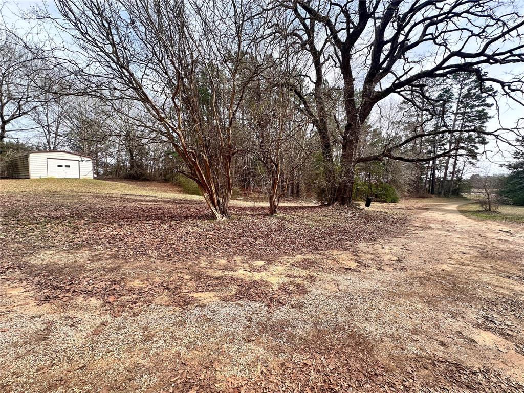 22847 Fm 2215 Property Photo 9