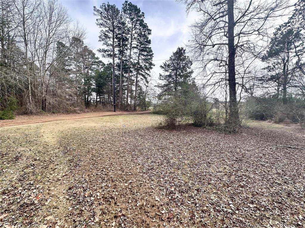 22847 Fm 2215 Property Photo 36