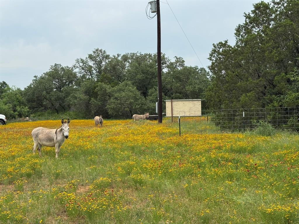 12550 County Road 136 Property Photo 18