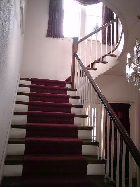 502 Mills Place Property Photo 18
