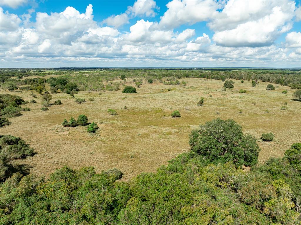 Tbd County Road 155 Property Photo 10