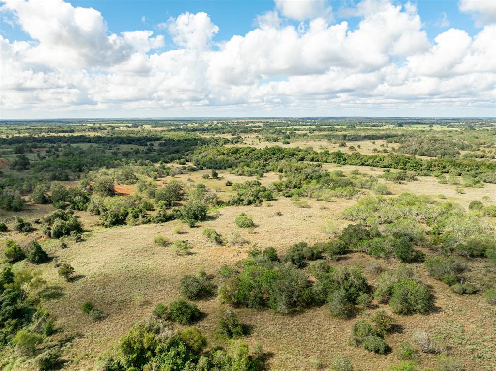Tbd County Road 155 Property Photo 18