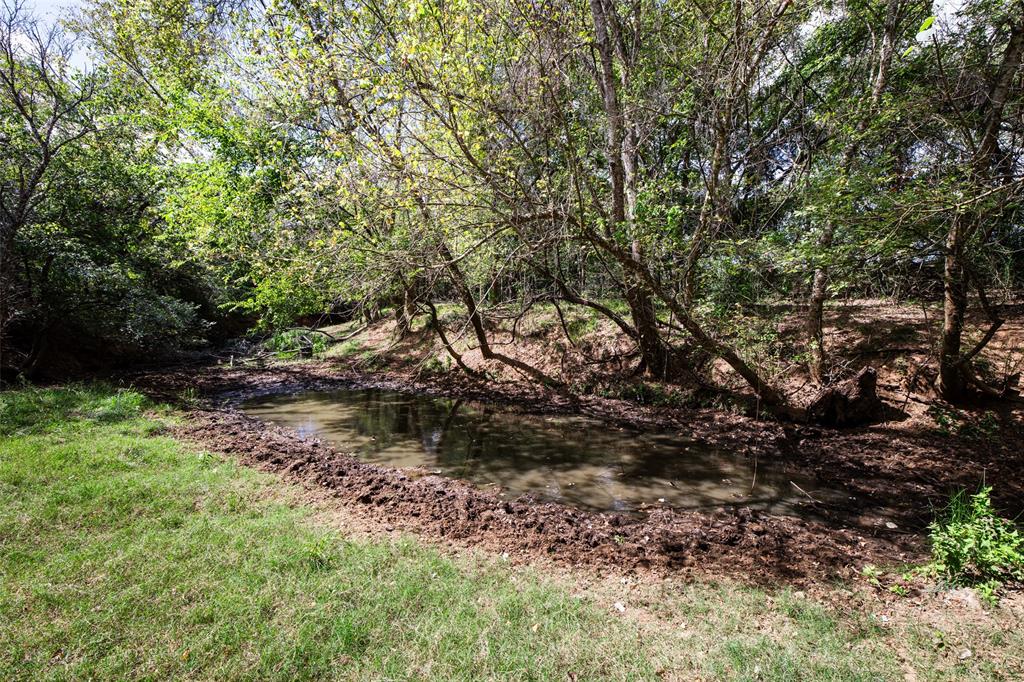 Tbd County Road 155 Property Photo 20