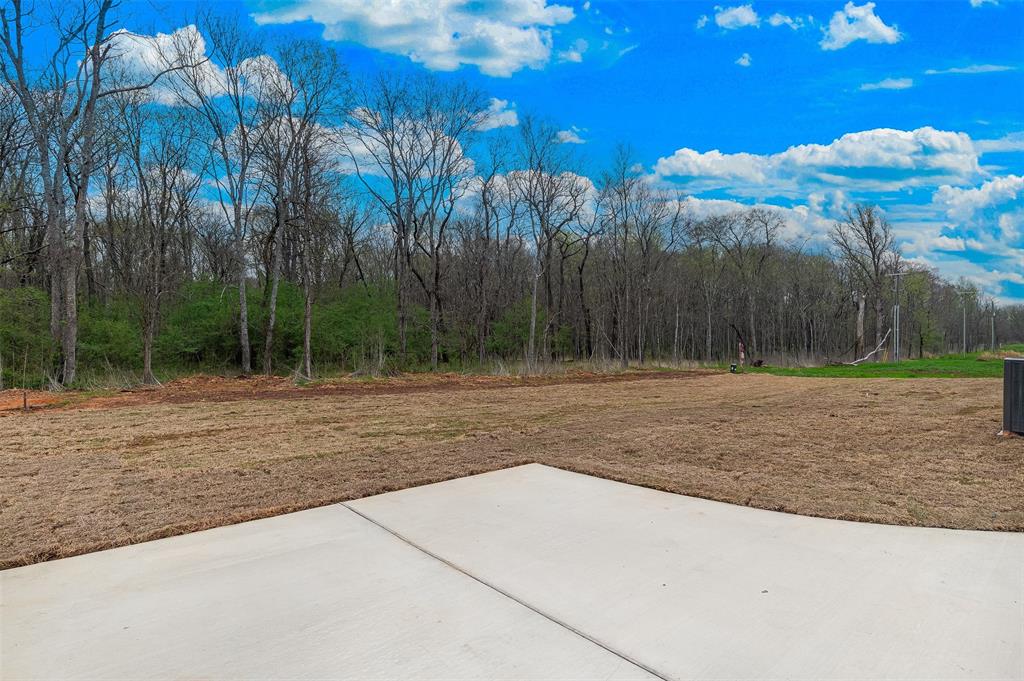 749 Duckwater Landing Property Photo 37