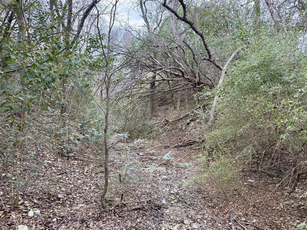 120 One Feather Property Photo 34
