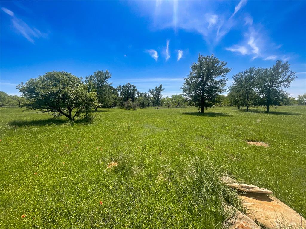 2429 County Road 411