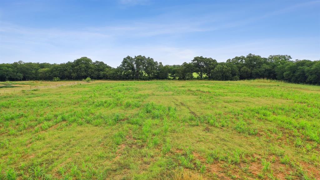 298 Townson Property Photo 5