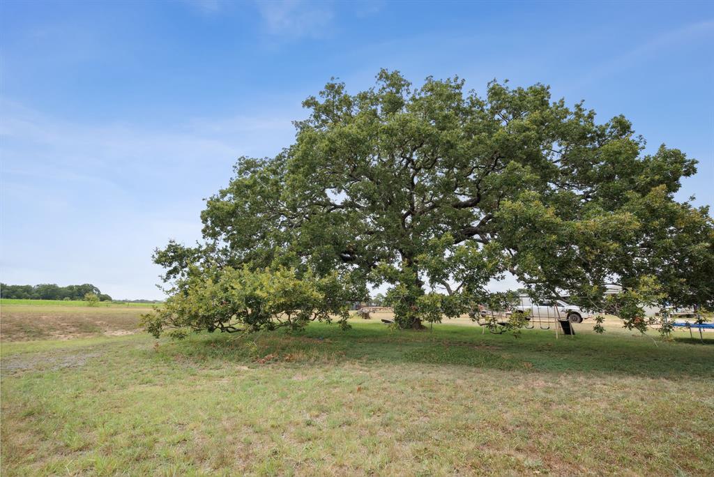 298 Townson Property Photo 37