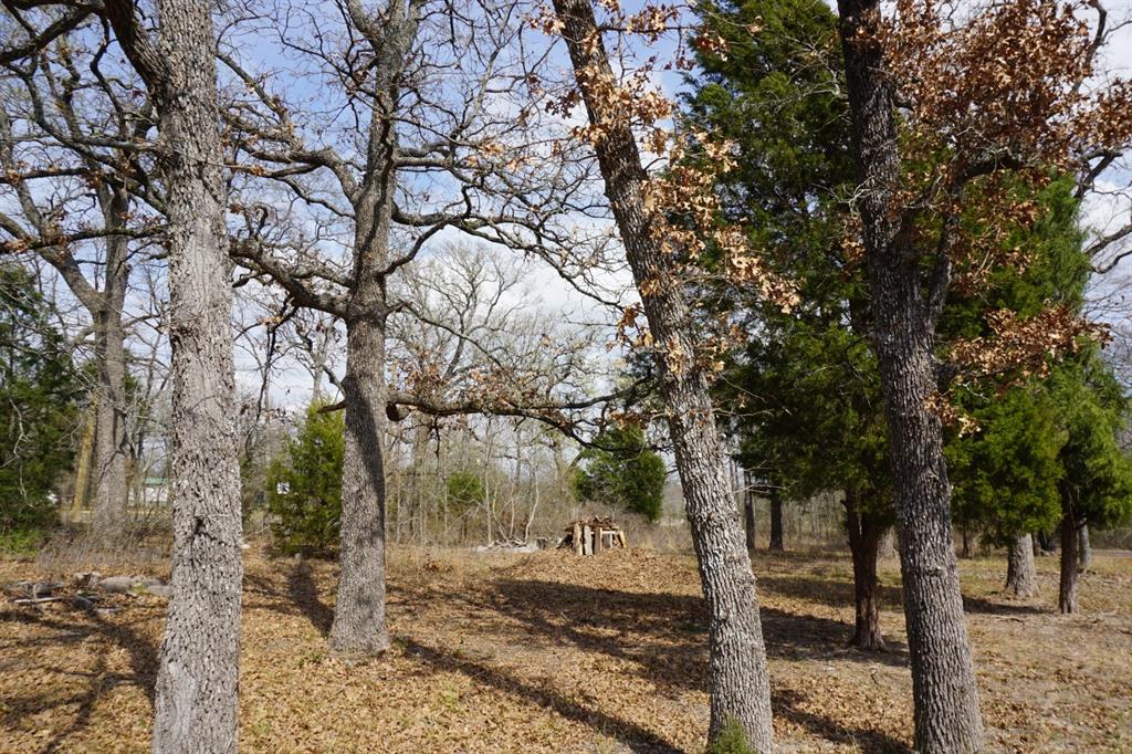 1698 Doc Holiday Dr Property Photo 1