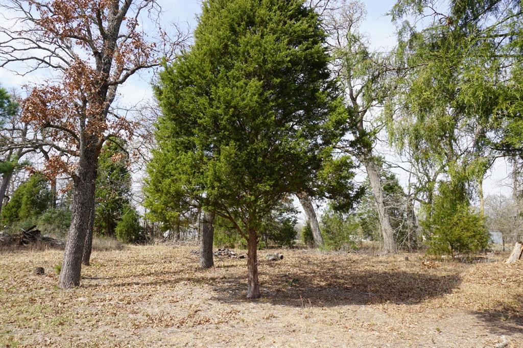 1698 Doc Holiday Dr Property Photo 4