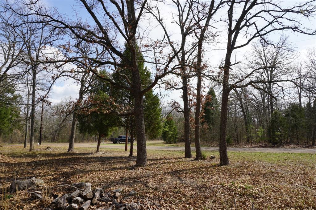 1698 Doc Holiday Dr Property Photo 11