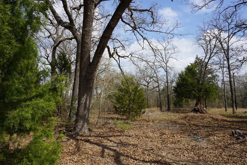1698 Doc Holiday Dr Property Photo 14