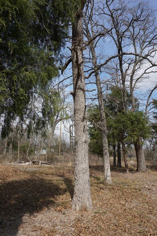 1698 Doc Holiday Dr Property Photo 18