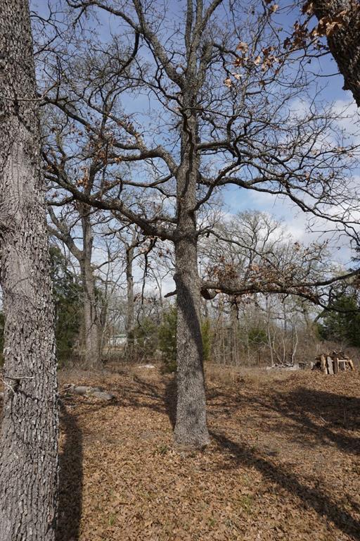 1698 Doc Holiday Dr Property Photo 19