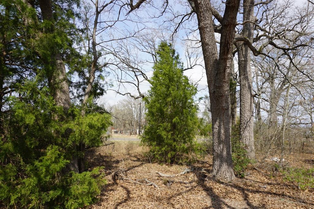 1698 Doc Holiday Dr Property Photo 20