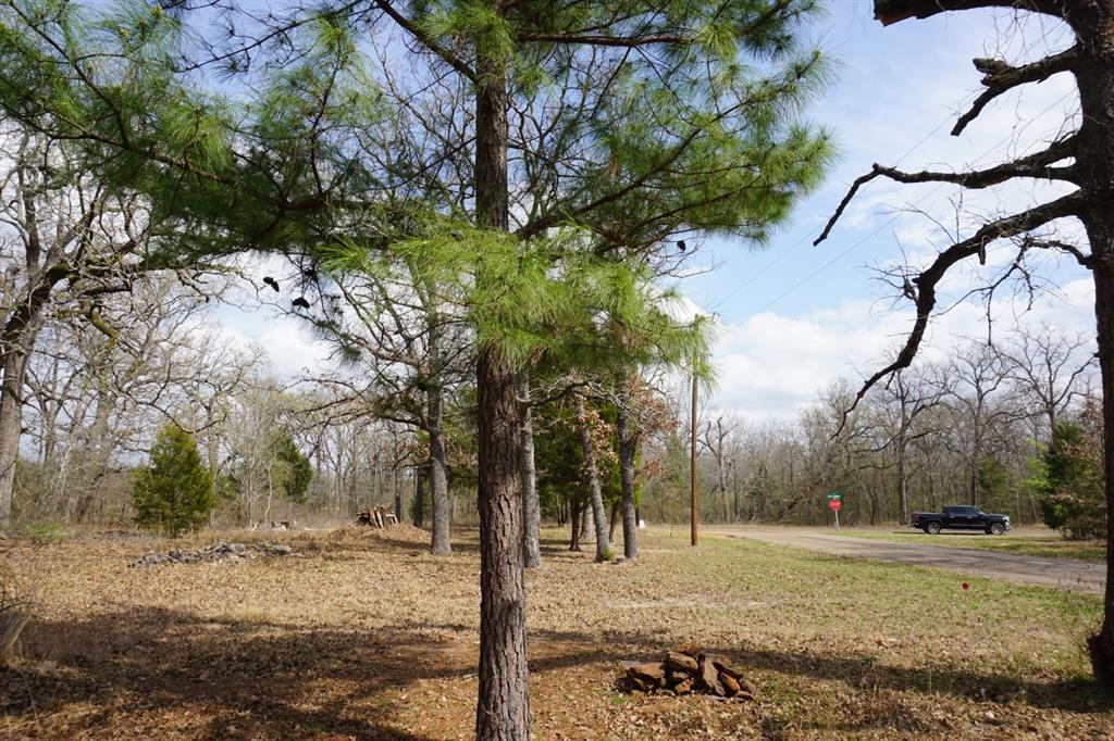 1698 Doc Holiday Dr Property Photo 22