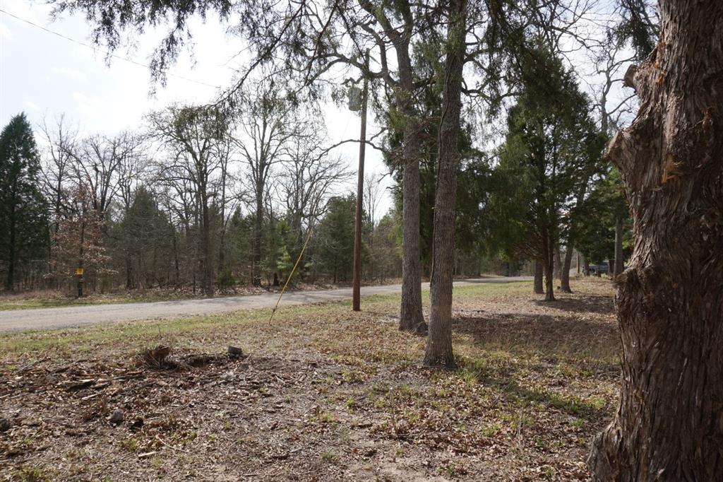 1698 Doc Holiday Dr Property Photo 24