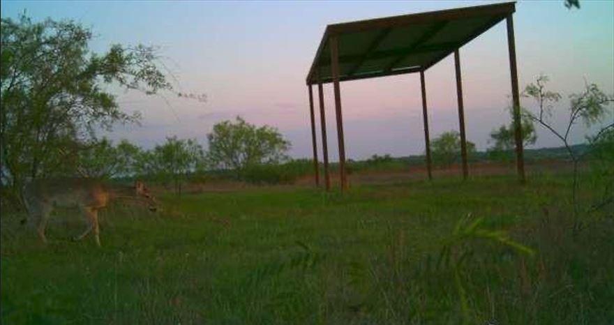 1838 County Road 343 Property Photo 1