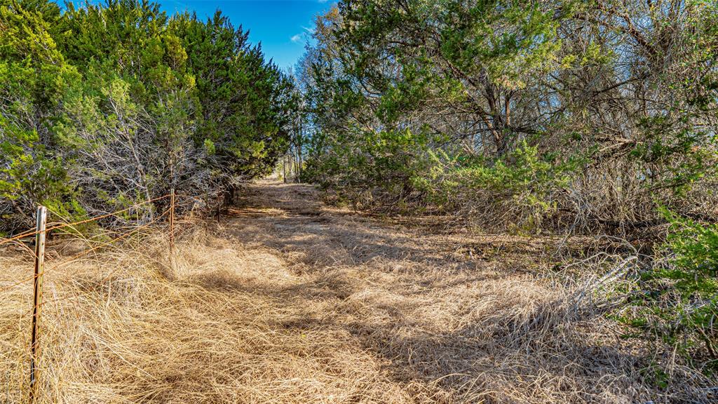103 S Fm 56 Property Photo 15