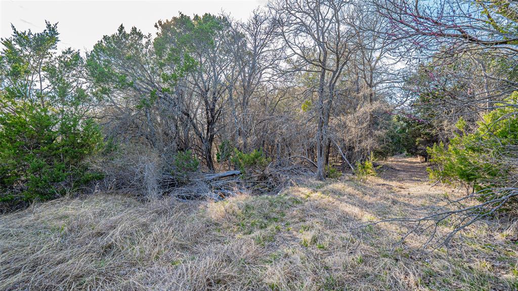 103 S Fm 56 Property Photo 17