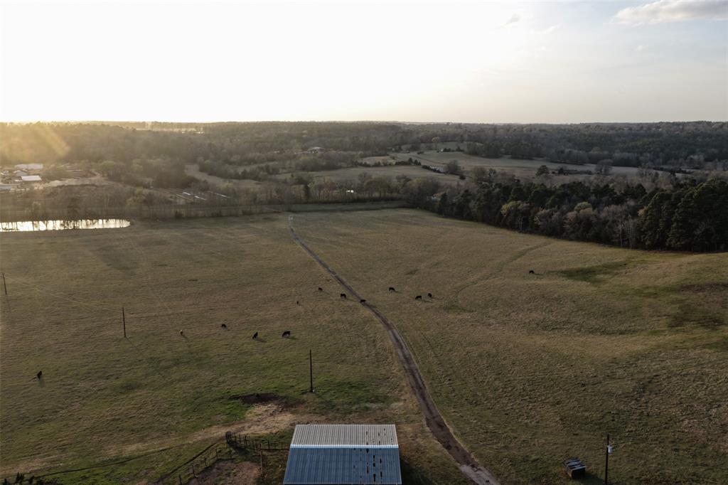 2265 County Road 1613 Property Photo 8