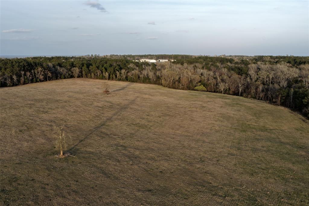 2265 County Road 1613 Property Photo 10