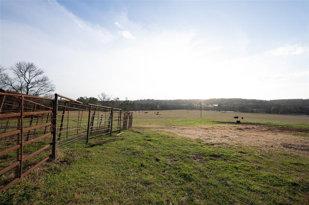 2265 County Road 1613 Property Photo 15