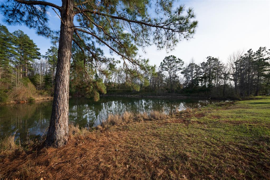 2265 County Road 1613 Property Photo 17