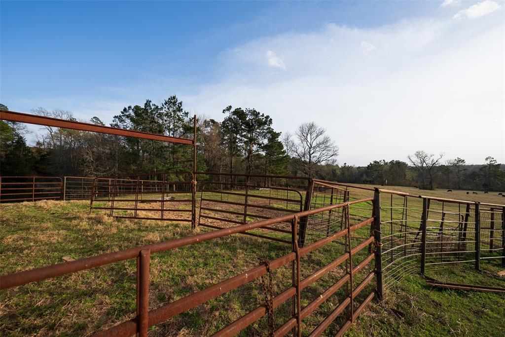 2265 County Road 1613 Property Photo 26