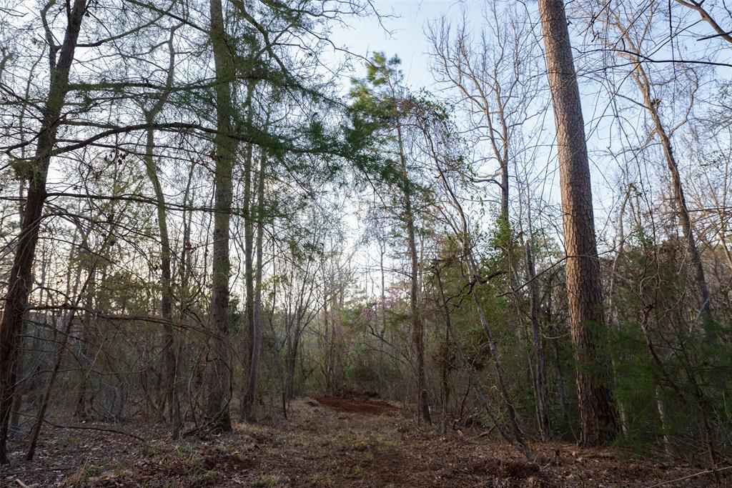 2265 County Road 1613 Property Photo 37