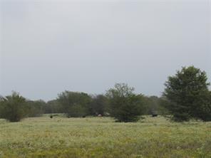 Tbd 2 County Road 4581 Property Photo 3