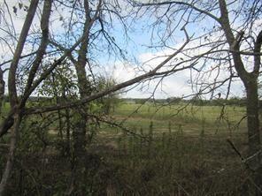 Tbd 2 County Road 4581 Property Photo 19