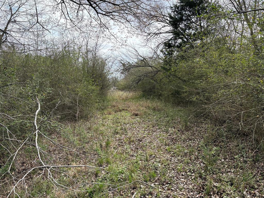Tbd County Road 666 Property Photo 6