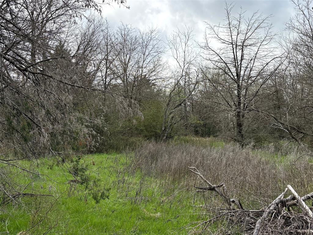 Tbd County Road 666 Property Photo 8