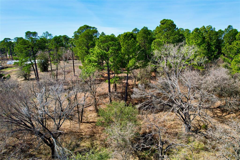 300 Cowboy Court Property Photo 4