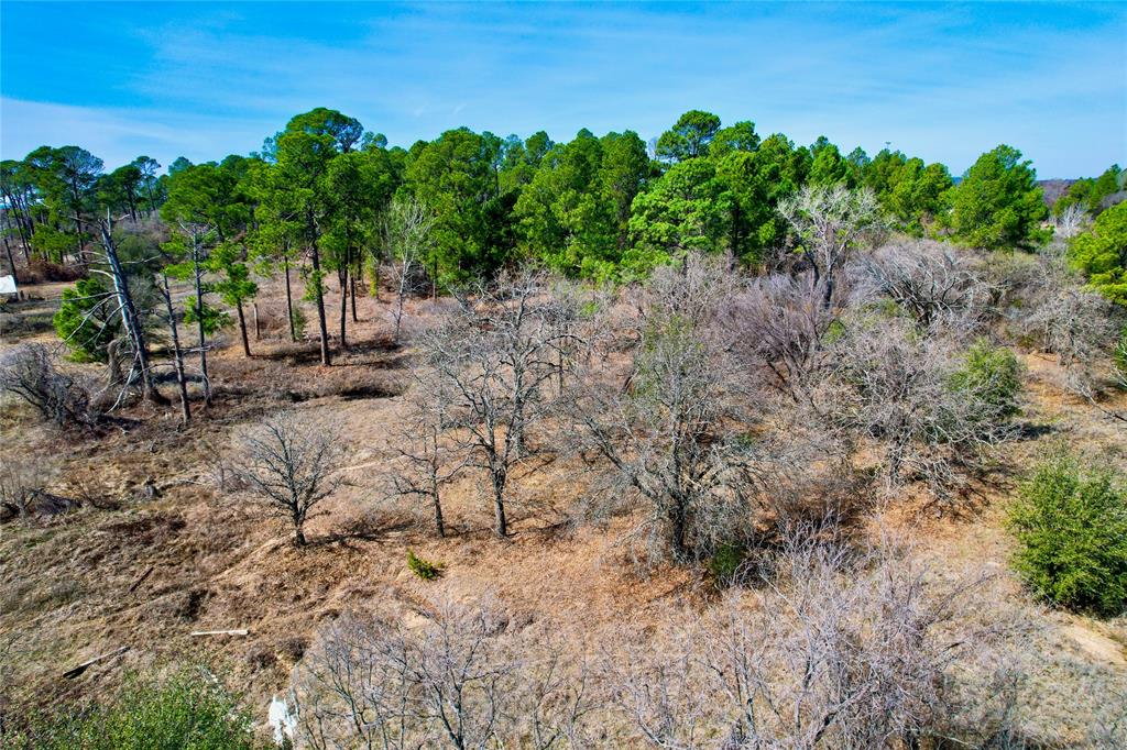 300 Cowboy Court Property Photo 5