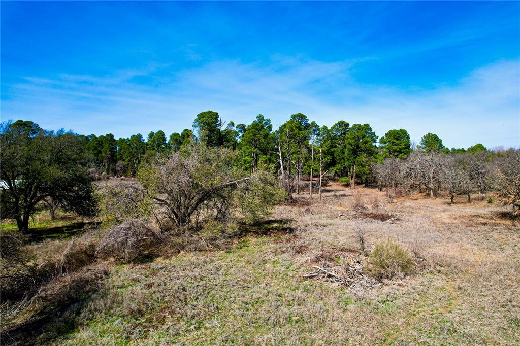 300 Cowboy Court Property Photo 6