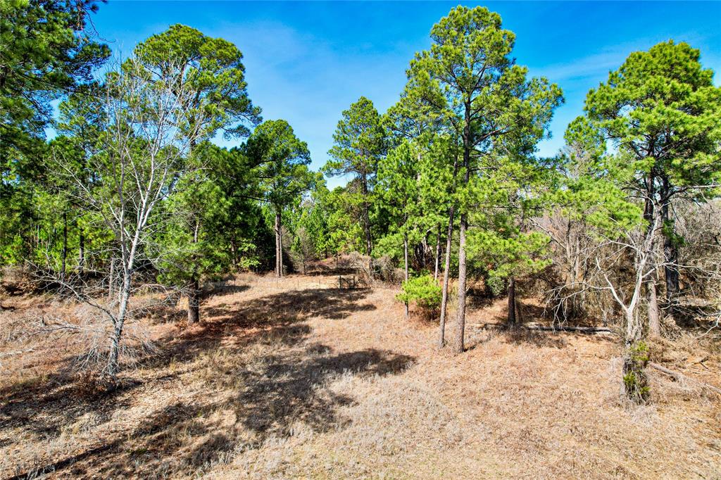 300 Cowboy Court Property Photo 11