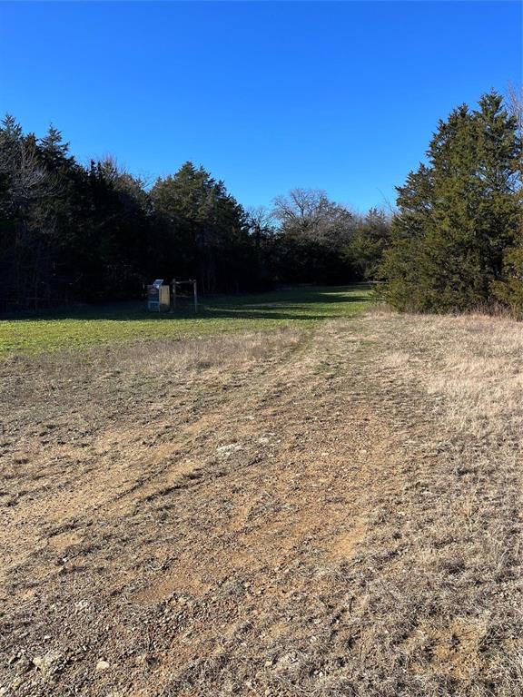 Tbd County Rd 108 Property Photo 5