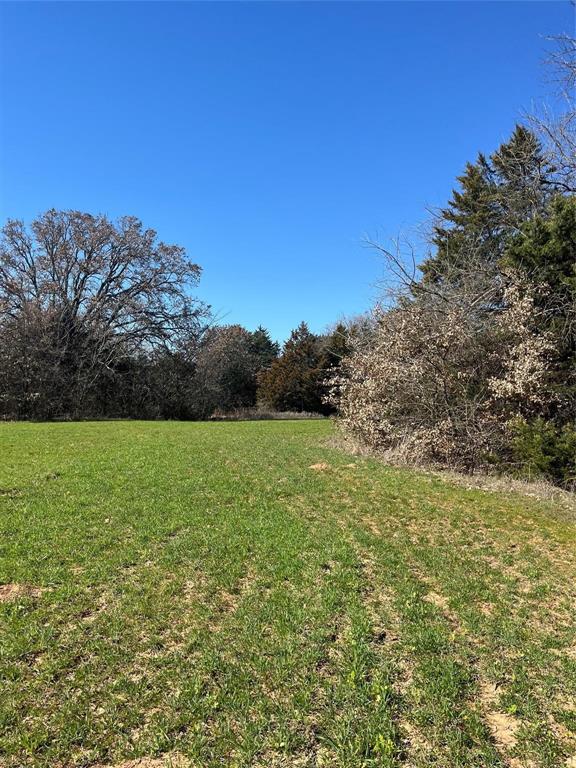 Tbd County Rd 108 Property Photo 8