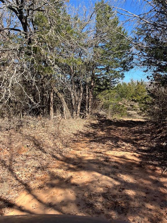 Tbd County Rd 108 Property Photo 9